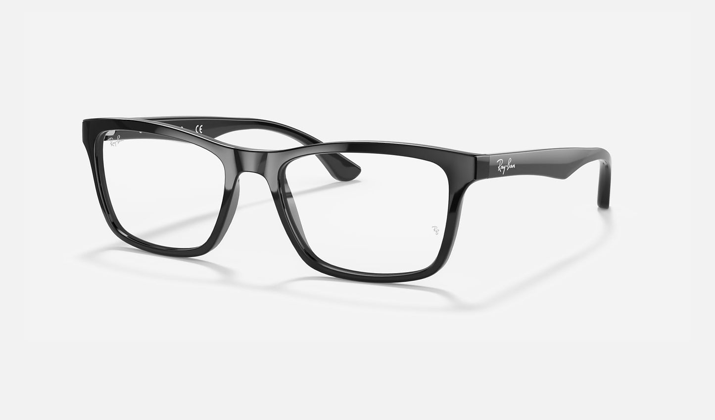 RB5279 Optics