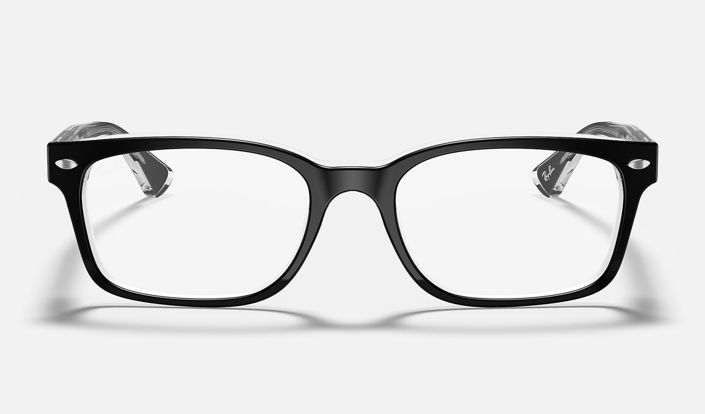 RB5286 Optics